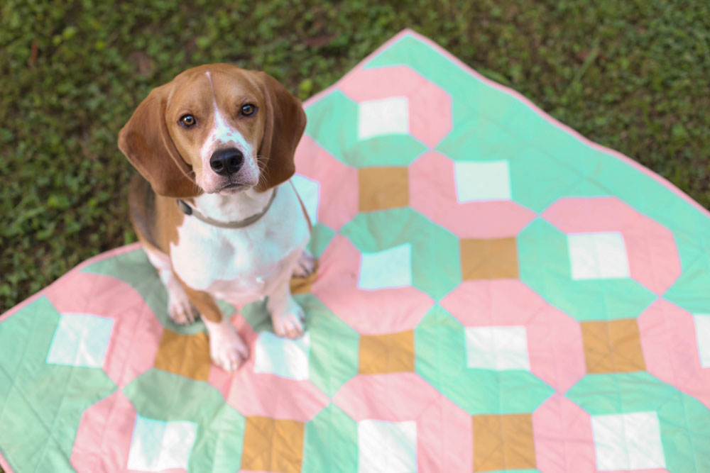 I'm a sucker for a cute dog on a quilt! The Glitter and Glow quilt pattern is beginner friendly and comes in king, queen, twin, throw and baby quilt sizes.