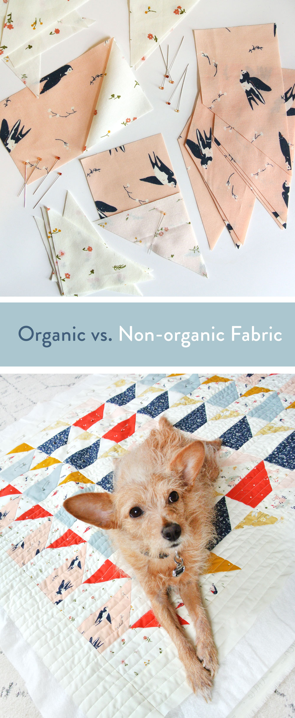 What's the Difference Between Organic Fabric and Non-Organic Fabric? | Suzy Quilts https://suzyquilts.com/organic-fabric