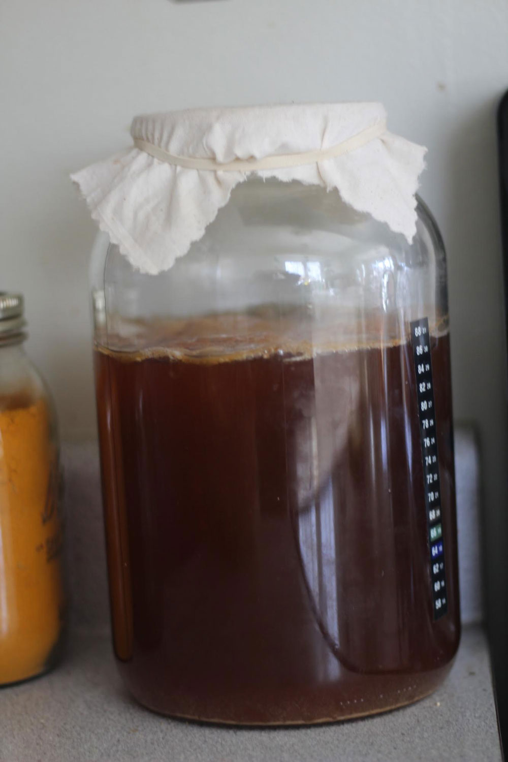 By day 7, the Kombucha smells like vinegar and has a thick foam on the top
