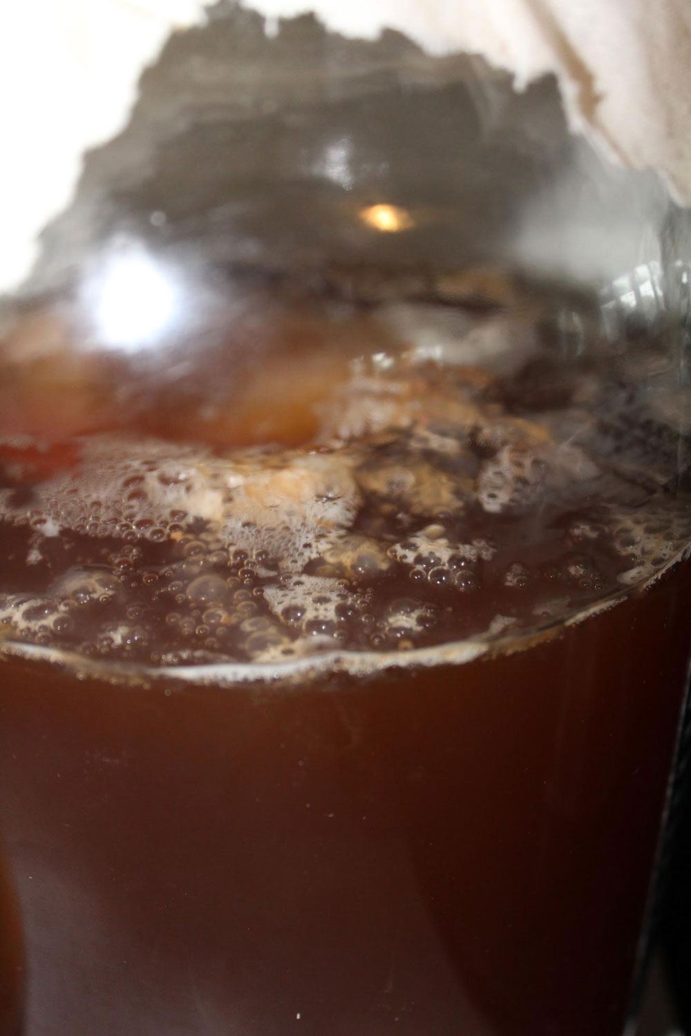 After a day of fermentation the kombucha starts to bubble