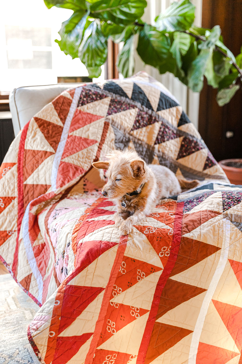 Join a fun sew along! It is easy to participate – all you need is the Gather quilt pattern so we make this quilt together! suzyquilts.com #quiltpattern #quiltdog