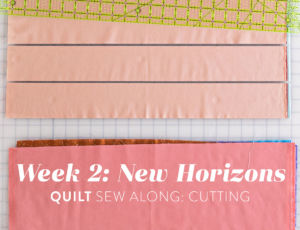Have fun making this fat quarter friendly quilt pattern! The New Horizons quilt along includes lots of extra instruction and tips. suzyquilts.com #sewalong #quilting