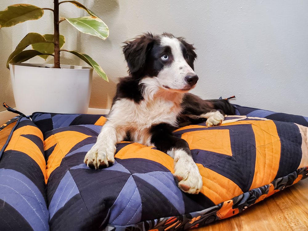 Make a Triangle Jitters Quilted Dog bed with this free tutorial! Step by step instructions for this pe-approved sewing DIY! suzyquilts.com #dogbeddiy #sewingtutorial