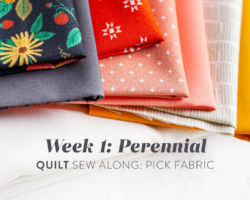 Perennial Quilt Sew Along Week 1: Pick Fabric