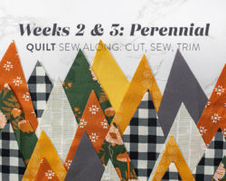 Perennial Quilt Sew Along Weeks 2 & 3: Cut, Sew, Trim