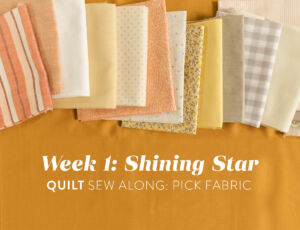 In week one of the Shining Star sew along we pick our fabric. Check out these tips for choosing color, value and scale of prints.