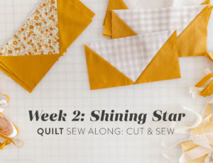 In week 2 of the Shining Star quilt sew along we cut into our fabric and sew the flying geese blocks. Watch the video tutorial for tips! suzyquilts.com