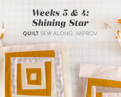 Shining Star Quilt Sew Along Weeks 3 & 4: Improv