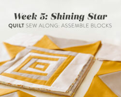 Shining Star Quilt Sew Along Week 5: Assemble Blocks
