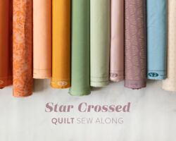 Star Crossed Sew Along (The Highlights)