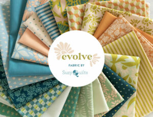Evolve Fabric Collection by Suzy Quilts for Art Gallery Fabrics