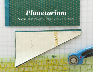 Planetarium Quilt Sew Along Week 2