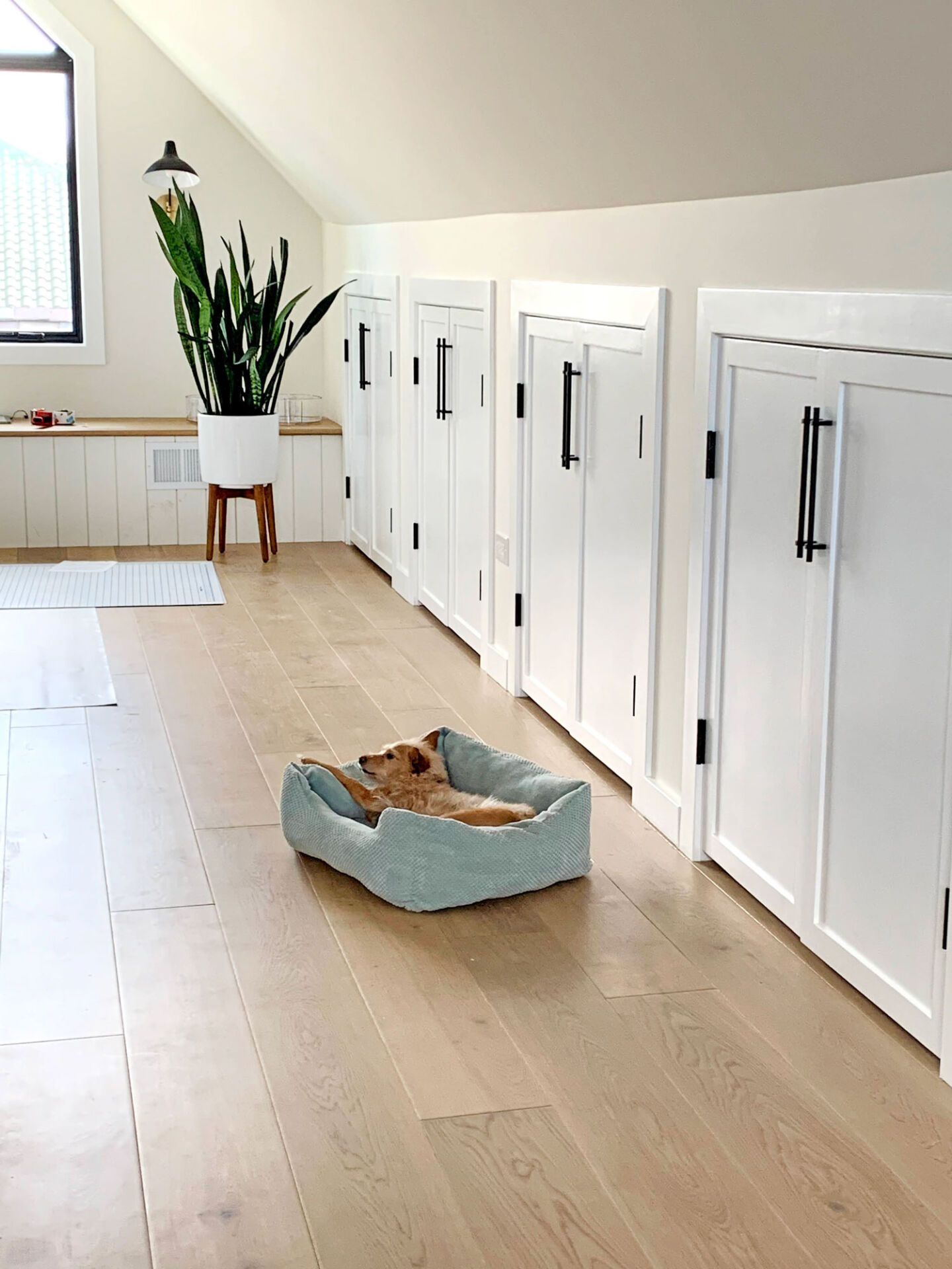 Need sewing room ideas? I renovated my attic and now it's a beautiful sewing room! suzyquilts.com Need sewing room ideas? I renovated my attic and now it's a beautiful sewing room! suzyquilts.com