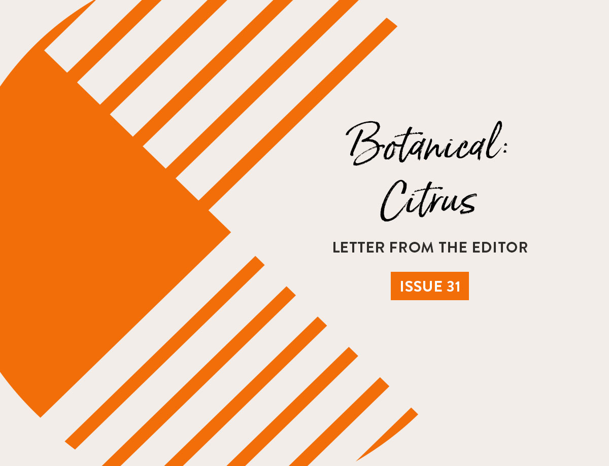 Letter from the Editor Issue 31 of The Cutting Table