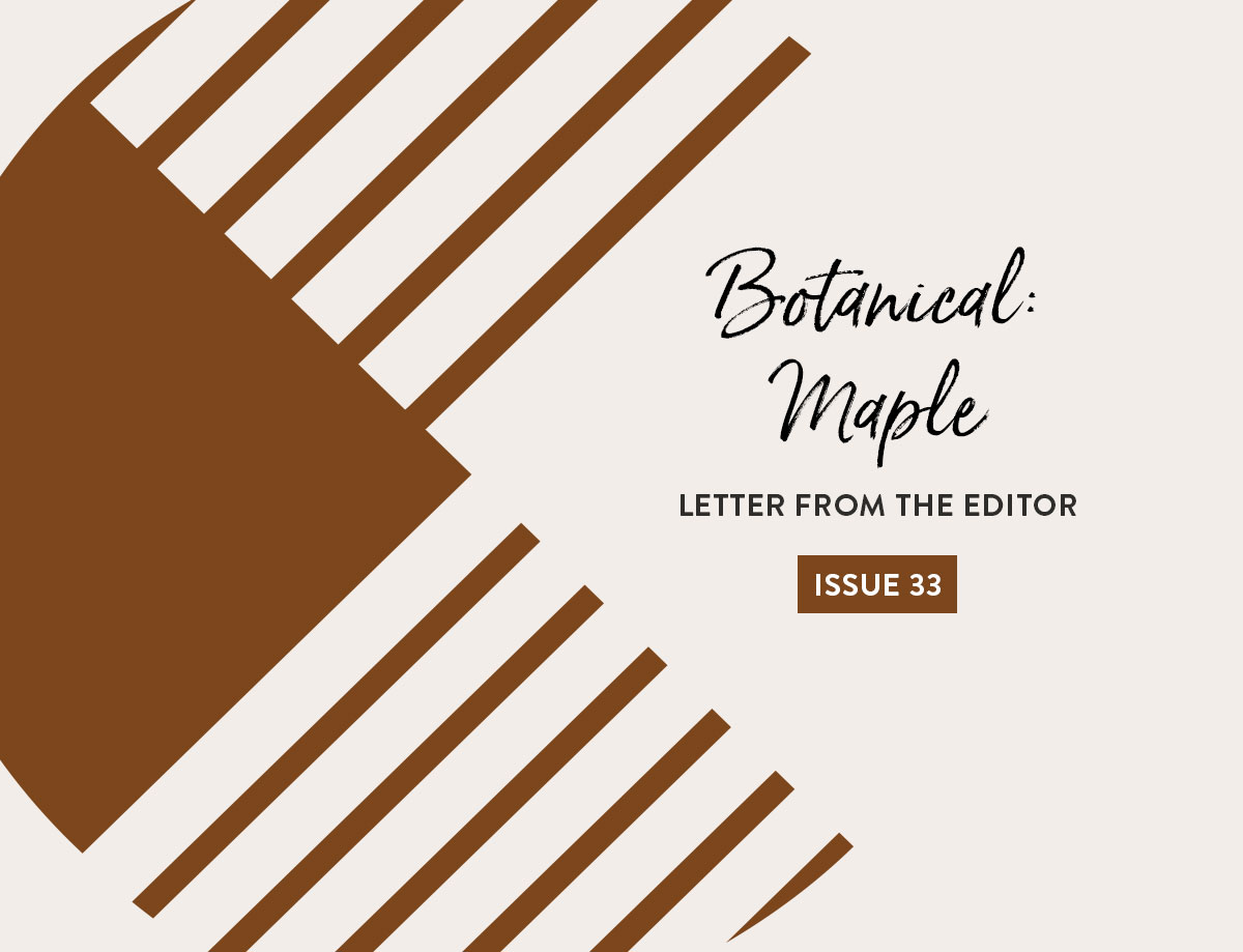Issue 33 Letter from the Editor