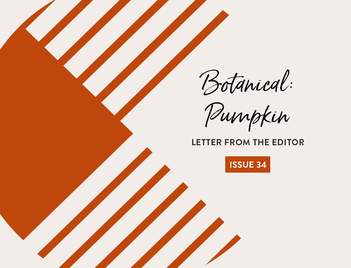 issue 34 of The Cutting Table