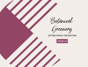 Letter from the Editor