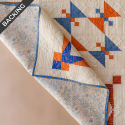 2025 Suzy Sampler Backing and Binding