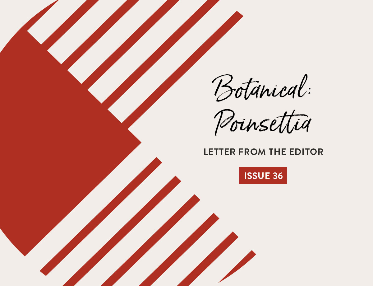 Letter from the Editor Issue 36