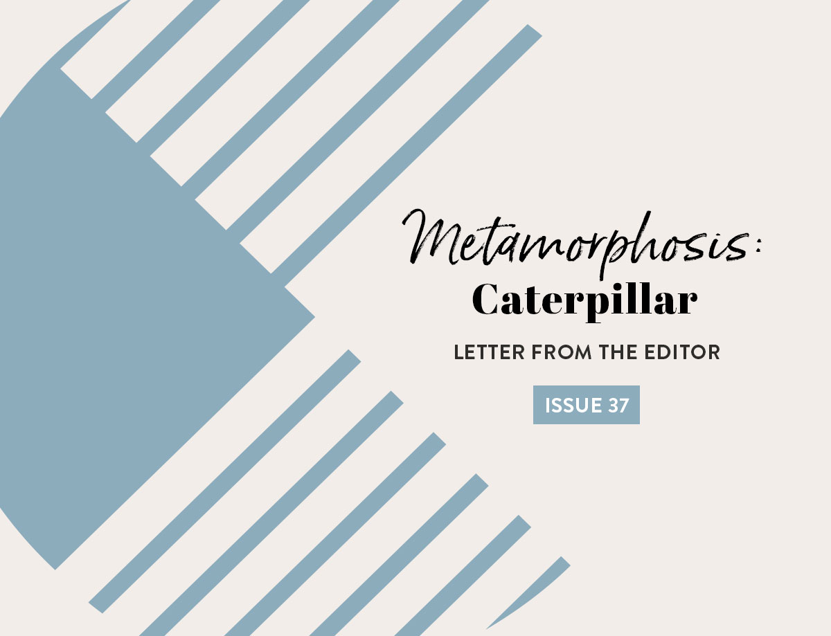 Issue 37 Letter from the editor