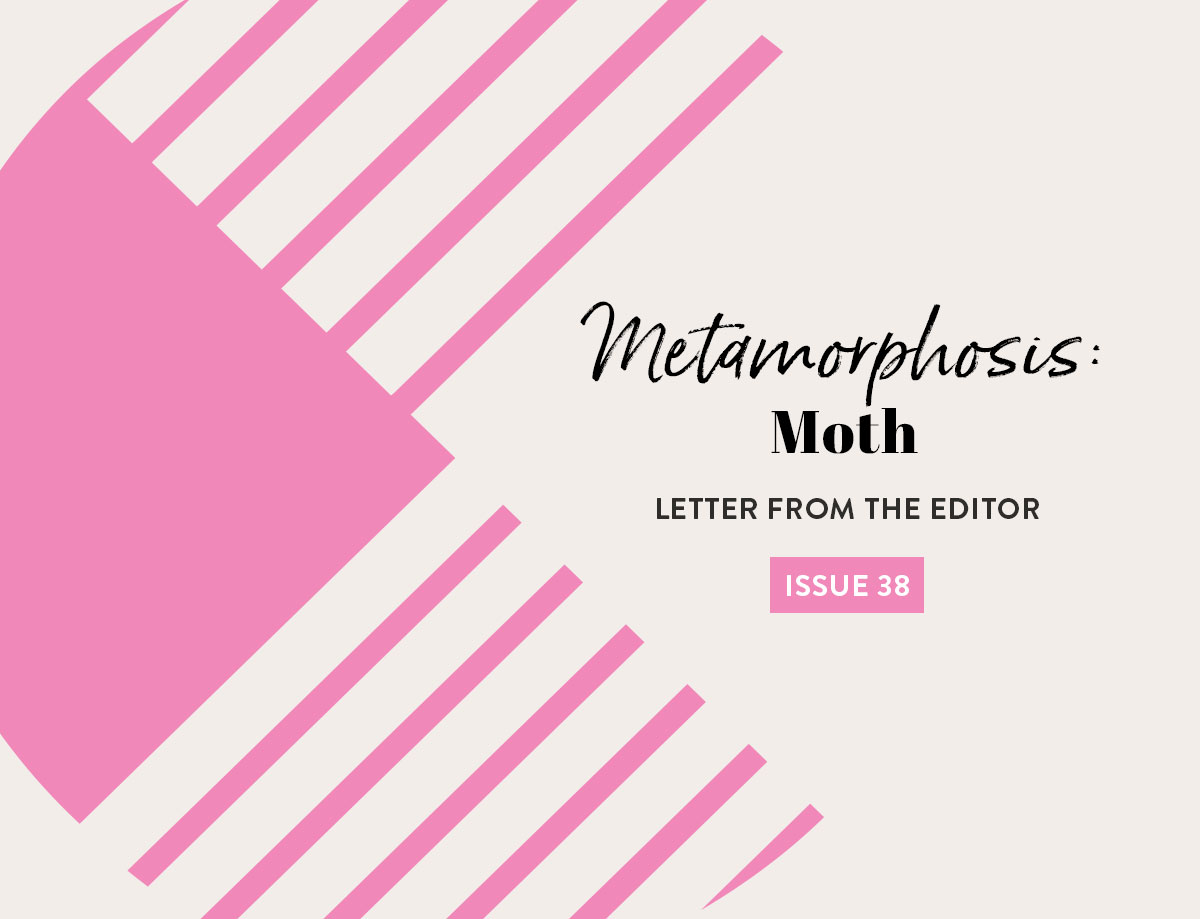 Letter from the Editor Issue 38